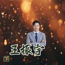 王振宇